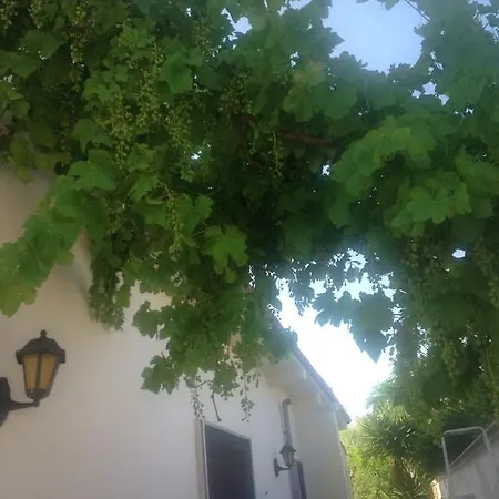 Salice San Pietro in Bevagna